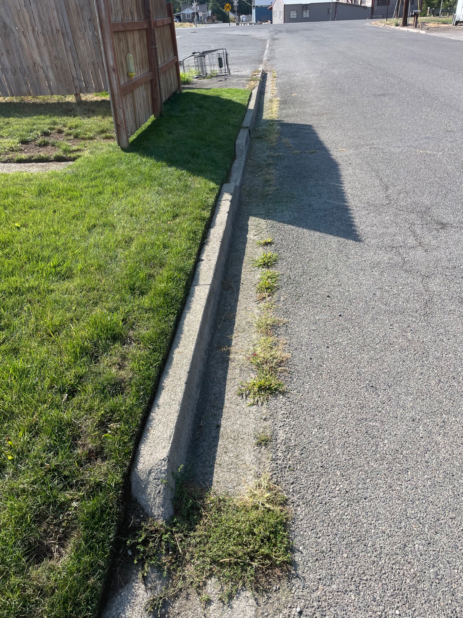 Cleaned curb and lawn